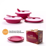 Raya Blossom Collection Tupperware