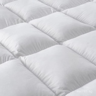 Mattress Pad Bedding Cushion Mattress Topper 3D Feather Velvet Hotel Five-Star Hotel Thickened Prote