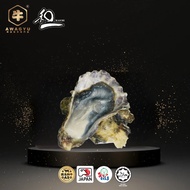 Japan Live Frozen Sashimi Grade Oyster Full Shell