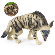 Animal Crown Hyena Dog Solid Model Children Science Educational Toy Simulation Figurine Ornament