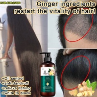 Ginger pangpahaba ng buhok shampoo/black beauty shampoo /Shampoo ng kabayo hair growth treatment