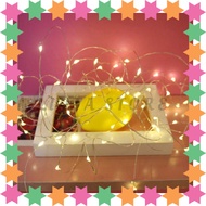 Premium] OKAL Decorative String Lights Decoration Fairy Battery Box 100 LED 10M - G3