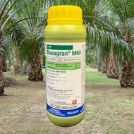 [ORIGINAL] 1L BASAGRAN M60 BASF HERBICIDE 37.0 + 6.2% RACUN RUMPAI RUMPUT/ KELADI AGAS SESUAI UTK ME