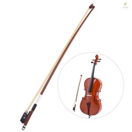 Well-balanced Octagonal Brazilwood 4/4 Cello Bow Horsehair Round Stick Ebony Frog