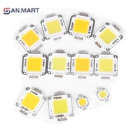 AN.MART 1pc cob led light dc led bulb chip on board 10W 20W 30W 50W 70W 100W 2 colors MY