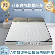 Dormitory Single Mattress Bottom Thickened Foldable Cushion Sponge Mat Student Dormitory Household Tatami Mattress