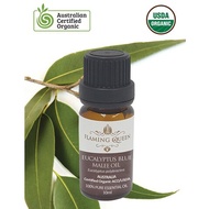 FLAMING QUEEN Essential Oil, Eucalyptus Certified Organic 100ml (Australia)