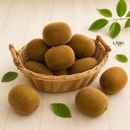 High quality fake kiwi fruit - 99% realistic model for VIP smoothie car decoration