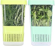 2 Pack Fresh Herb Keeper for Refrigerator, Clear BPA-Free Herb Saver, Storage Container for Cilantro