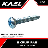 WHOLESALE PAB Screws M12 X 1.1/ 2 Inch Bolts Baudd Screws Self Tapping Harden P+ AB 12mm x 38 12 38 
