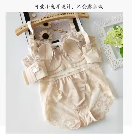 Bra Plus Size Clothing 2 Piece Set Lingerie Push Up Brassiere Lace Underwear Panties For Women B C D