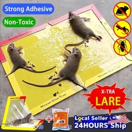 My Spot】Mouse Trap Perangkap Tikus Paling Berkesan Gam Tikus Rat Trap Perangkap Tikus Pelekat Tikus 