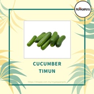 [Seeds] Cucumber / Timun Vegetable Seeds ± 25 Seeds (Seeds only)