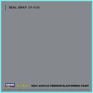 ♘ ↧ ℬ DAVIES Sun & Rain Color Pods Paint (250ml) Seal Gray
