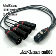 SPL Audio Cable Branch XLR 1 Canon Female To 4 XLR Canon Male Cable SPL cm1000 - 25cm