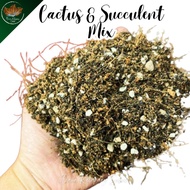 CACTUS & SUCCULENT SOIL MIX (4 LITER)