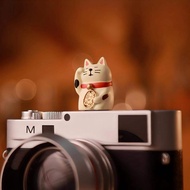 DIY Lucky Cat Camera Hot Shoe Cover Protector for Canon R50 Nikon Z8 Z30 Leica Q3 Q2 M11 Fuji XT5 XT