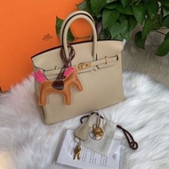 (Sold)Hermes Birkin 25 風衣灰