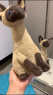 Jellycat 實拍暹羅貓玩偶  毛公仔 玩具