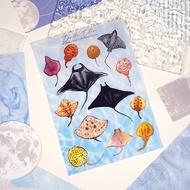 【Manta】魔鬼魚 魟魚 水彩插畫 和紙貼紙 手帳 海洋 海洋生物