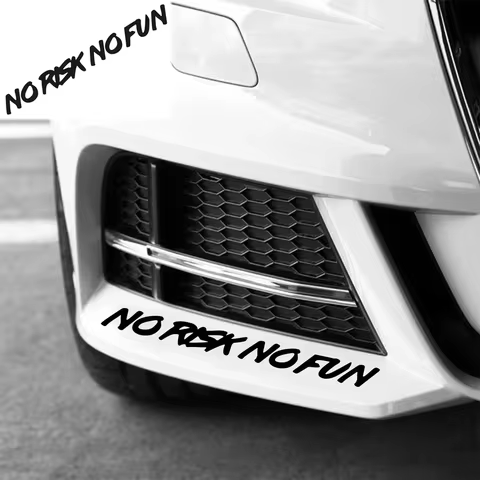 22x2.4cm NO RISK NO FUN Car Sticker Styling Car Body Window Windshield Bumper Motorcycle Decor Vinyl