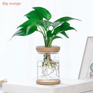 [Big orange] Transparent Flower Pot Hydroponic Automatic Water Absorption Plastic Flower Pot