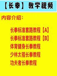 長拳教學視頻長拳標準套路教學視頻少林太祖長拳體育健身長拳視頻
