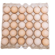 Local Kampung Egg 30's