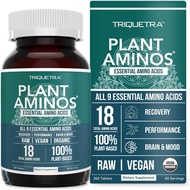 Plant Aminos Organic Essential Amino Acids (EAAs) & BCAA 360 Tablets - 100% Plant-Based Raw, Vegan -