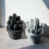 萬重山造型塔香線香座 擺設/收納/3D列印/多肉塊根植物/送禮/禮物