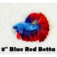 Blue Red Betta - Original Green Pleco Plushies, Fish Aquarium Collectibles (8 inch)