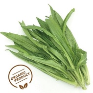 Farm Basket - 有機油麥菜 (200-250G)