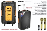 speaker portable ashley IR 600 / IR600 / IR-600 15 INCH ORIGINAL