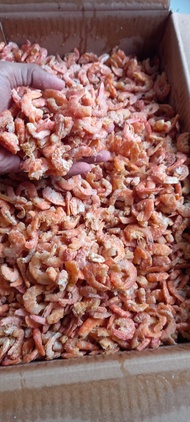 COD Udang Ebi super 250 gram murah / Ebi Kering Tarakan Super / Ebi / Udang Kering