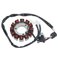 Motorcycle Stator Coil Magneto Engine Stator rotor Coil for Yamaha MWD300 CZD300 CZD300 XMAX 250 300