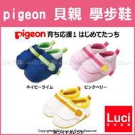 2018新款 pigeon 貝親 一階 學步鞋 初學 誕生 出產 日本 禮物 送禮 11cm~13cm LUCI日本代購