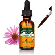 Herb Pharm Organic Echinacea Root Extract, Alcohol-Free: Immune System Support for All Seasons, Fast