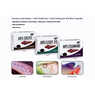 OF Ocean Free Anti-Columnaris,Anti-Dropsy,Anti-Cloudy Eye For Arowana # Ubat Ikan Kelisa #