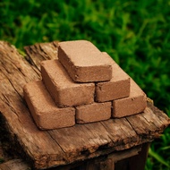 Plant Deluxe Cocopeat Block Media For Vegetable and Flowers Coconut Peat Bricks Aacc229