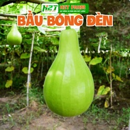 Bulb Gourd Seeds 2g - h2t farm