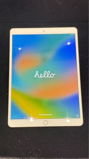 iPad Pro 256G 10.5吋(A1701)