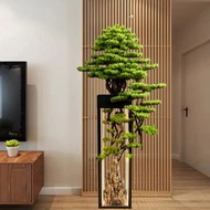 A complete set of simulated entrance hall landscaping living room floor-standing high-end slender hi