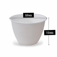 White Flower POT UK 25cmx19cm