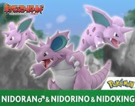 全新現貨 正版 魂商店限定 POKEMON SCALE WORLD 精靈寶可夢 關都地區 尼多蘭 尼多利諾 尼多王