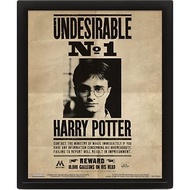 【哈利波特】波特/天狼星通緝令-3D海報含框 Harry Potter/Sirius