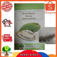 4 pcs Dutch Durian soursop seeds