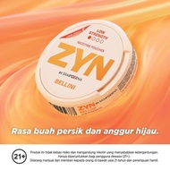Ready JT ZYN by Sampoerna Bellini Mini Dry 15s