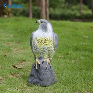 [Koolsoo] Realistic Falcon Scarecrow Animal Falcon Decoy Weed Pest Control Falcon