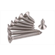 M4m5m6m8 304 Stainless Steel Countersunk Self-Tapping Screw Extended Phillips Flat Self-Tapping Scre