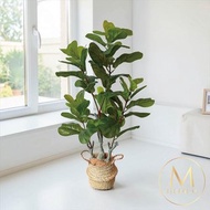 居家小資入門款琴葉榕室內仿真植栽